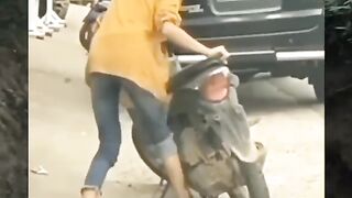 Hey.. Woman????