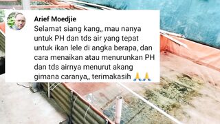 Berapa ukuran pH air kolam lele❓Kalau TINGGI, Bagaimana cara menurunkan, kalau RENDAH bagaimana cara menaikkan nya❓