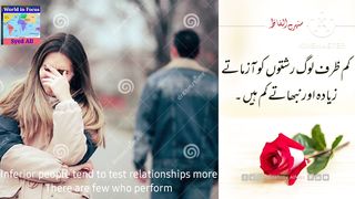 Kam Zarf Log Rishton Ko. #World in focus #@sarifali #SyedAli