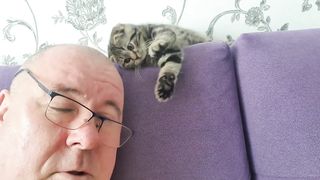 Кот помогатор.