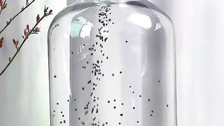Aquarium diy