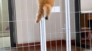 Почувствовал давление