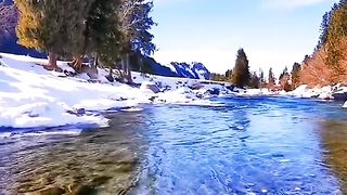 Winter wonderland