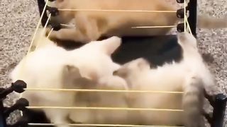 Ничего более захватывающего вы сегодня не увидите