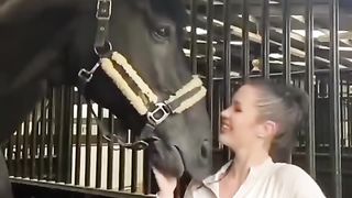 Funny Video - The horse is being lewd!