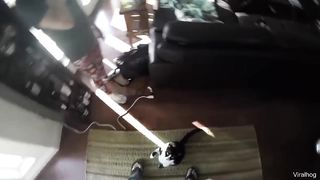 The Best Of The Internet (2019)