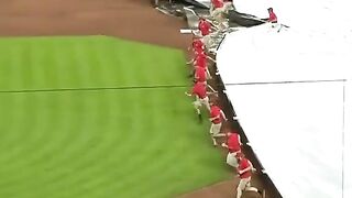 Funny file at a sports match