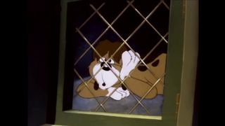 Animaniacs   Humans Don’t Mean Much to Me Song   Classic Cartoon   WB Kids