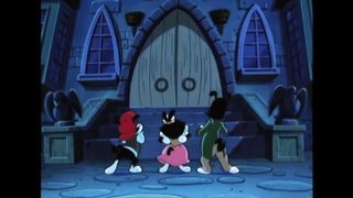 Animaniacs   Dot Finds Love   Classic Cartoon   WB Kids