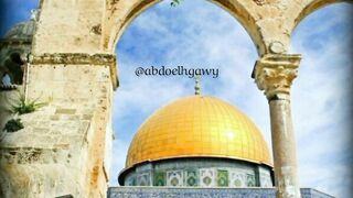 يارب النصر ل فلسطين ❤️❤️