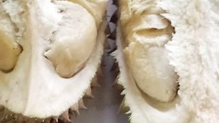 Win Prabowo makan makan