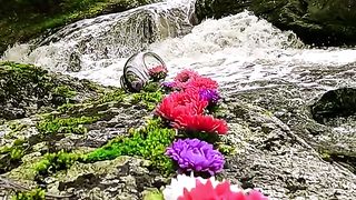 A natureza é impressionante Deus é mesmo maravilhoso