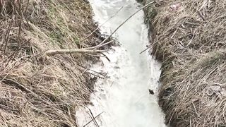 Аномалия Молочная река ч2. STALKER