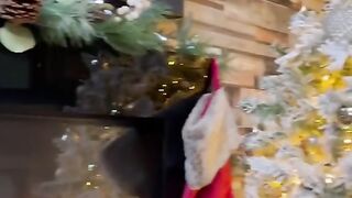Stuck for a Christmas ideas for your dog?