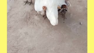 Mother is Great Love ???? Mother