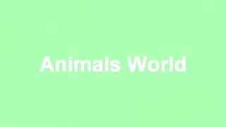Animal Fighting