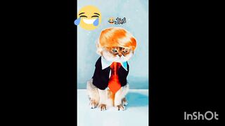 So Funny
