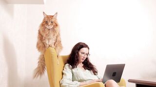 Beautiful Cat