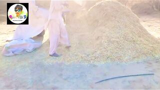 New Marwadi village Tharparkar