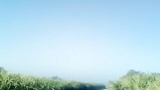 Nature Video