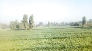 Sarsabz vlog