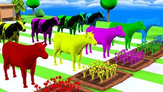 Fountain crossing cow videos cow animal choose correct fountain cartoon cow cartoon