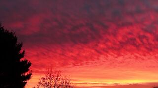 Sunset Pink Yellow