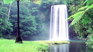 Beautiful Nature Waterfall