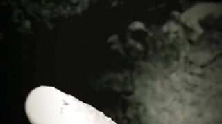 The tooth of an ancient shark!