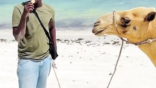 #funny #funnyvideos ????????????