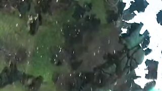 Tefiti moana film