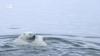 Tour of the Arctic