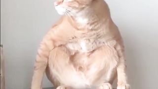 Министер