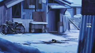 Anime story Black Cat