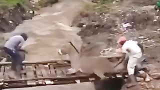 نواز شریف کو اقتدار کی منتقلی کے مناظر