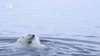 Tour of the Arctic part 2