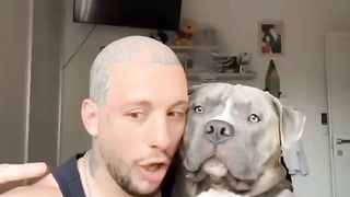 Funny aminal