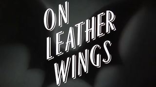 Batman - On Leather Wings [1]