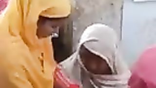 মর্নিং ওয়াকে হাতি!