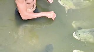 Ikan peliharaan