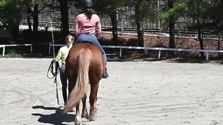 Good horse