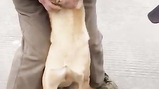 Good_job!_Good_man!