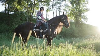 Good horse
