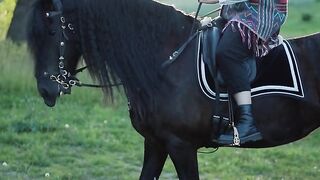 Good horse