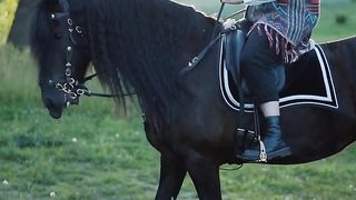 Good horse