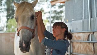 Good horse