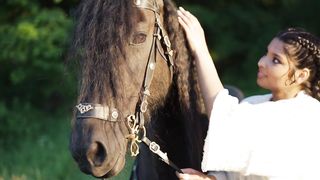 Good horse