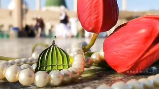 Hazrat yabo horaira rajiallahotala anho se marbihe #naat #yabohoraira