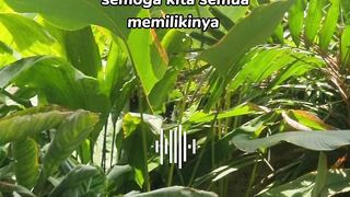Bersyukur