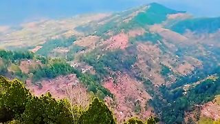 Who doesn't love my Kashmir?